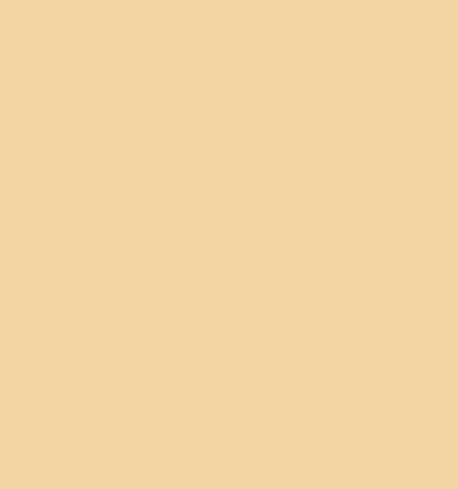 RONZILLE Ultra Base water-poof Liquid Concealer Shade-02 (Medium Beige, 6 ml)