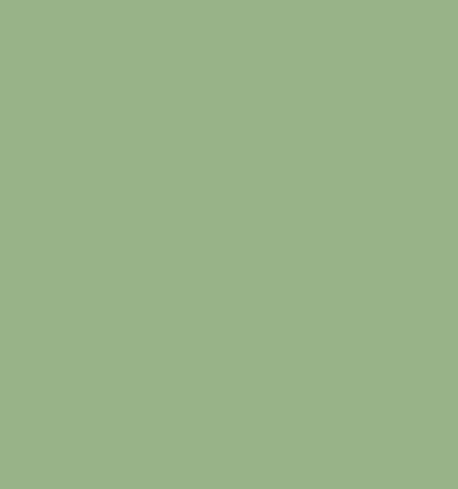 RONZILLE Ultra Base water-poof Liquid Concealer Shade-06 (Green Corrector, 6 ml)