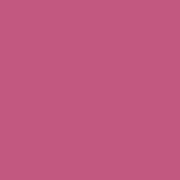Ronzille One touch up HD Matte Lipstick -06(Mauve carnation)