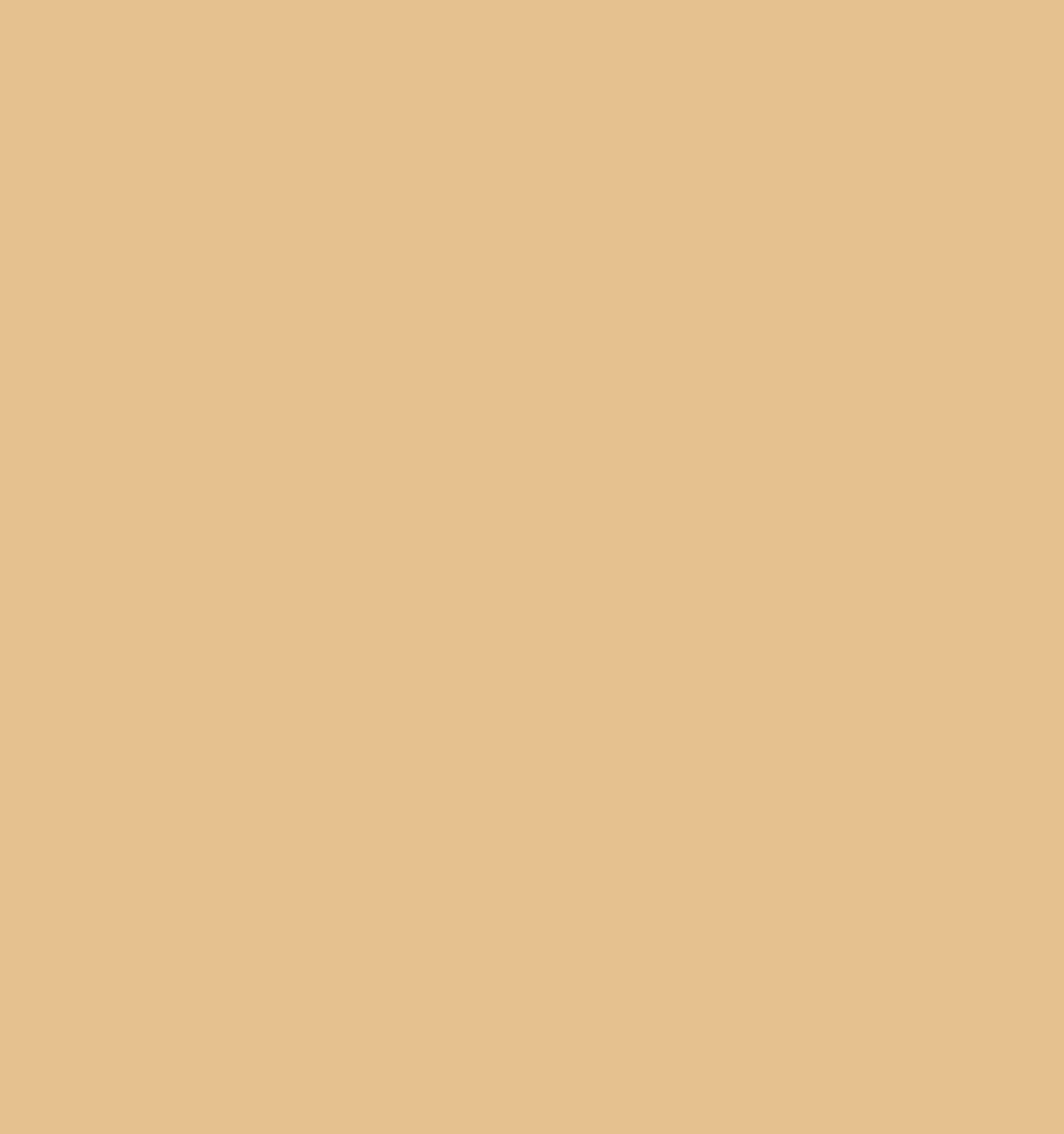 RONZILLE Ultra Base water-poof Liquid Concealer Shade-05 (Natural Beige, 6 ml)