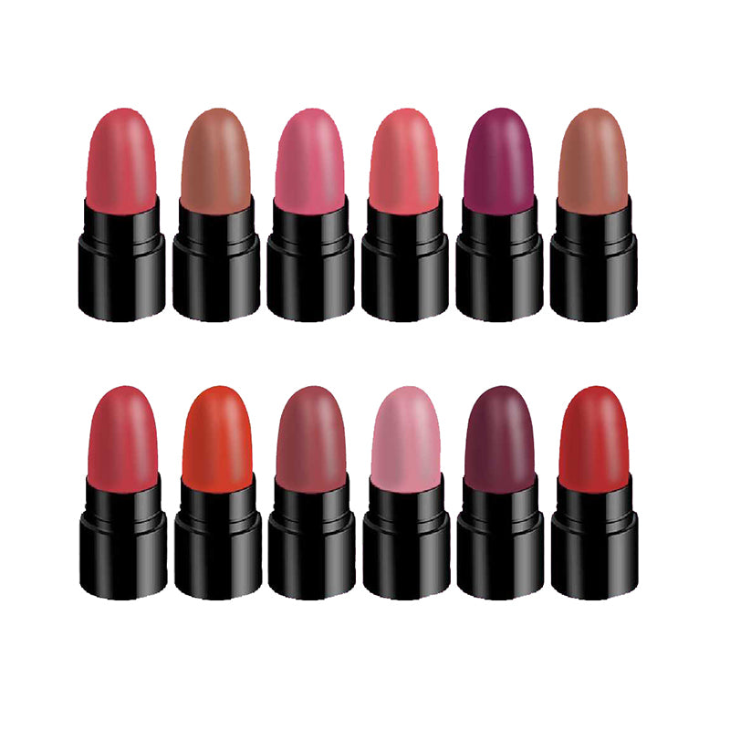 Ronzille Mini Trial Lipstick Kit Set of 12 (Shade-B)
